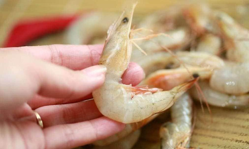 കടലിൽ ചെമ്മീനില്ല; വഴിയാധാരമായി പീലിങ്​ മേഖല