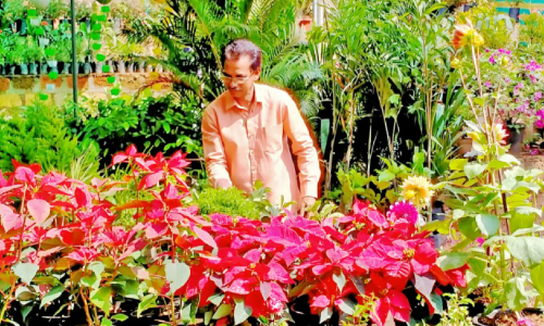 മഹാമാരിയെ അതിജീവിക്കാൻ പുതുവഴി തേടി അധ്യാപകൻ