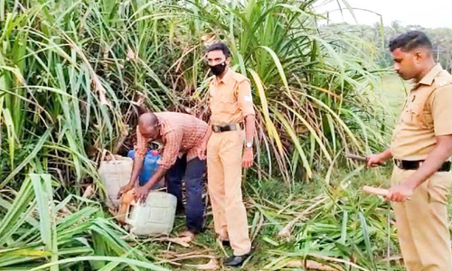 വ്യാ​ജ​വാ​റ്റ് കേ​ന്ദ്ര​ത്തി​ൽ നിന്ന്​  315 ലി​റ്റ​ർ കോ​ട പി​ടി​കൂ​ടി