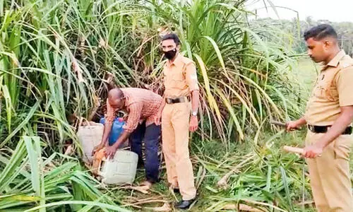 വ്യാ​ജ​വാ​റ്റ് കേ​ന്ദ്ര​ത്തി​ൽ നിന്ന്​  315 ലി​റ്റ​ർ കോ​ട പി​ടി​കൂ​ടി