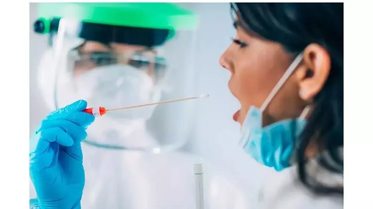 അജ്മാനിൽ സര്ക്കാര് കാര്യാലയങ്ങളില് പ്രവേശിക്കാന് കോവിഡ് ഫലം നിര്ബന്ധം അജ്മാനിൽ സര്ക്കാര് കാര്യാലയങ്ങളില് പ്രവേശിക്കാന് കോവിഡ് ഫലം നിര്ബന്ധം