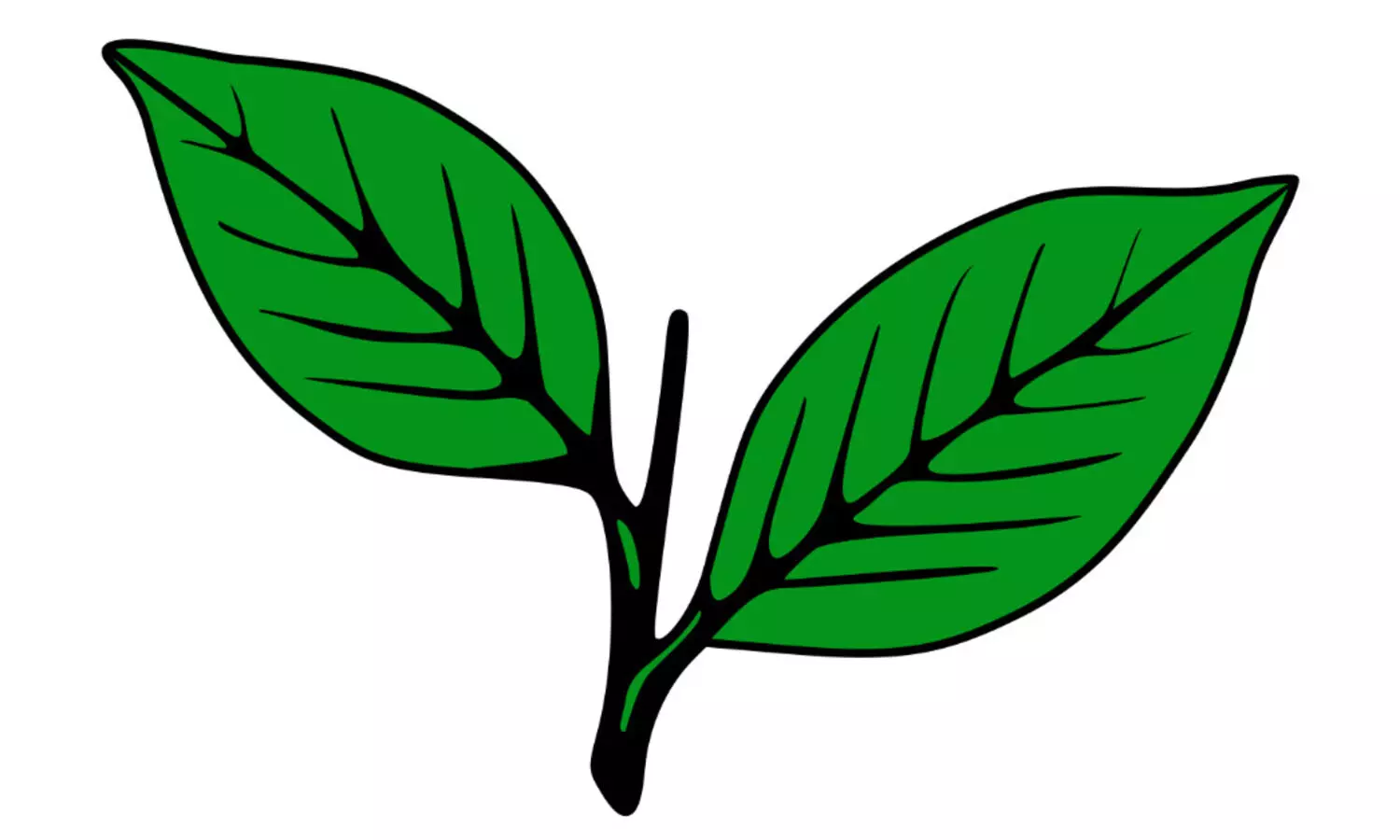 Kerala Congress (M) steering committee meeting in Kottayam today