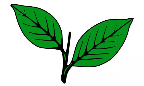 Kerala Congress (M) steering committee meeting in Kottayam today