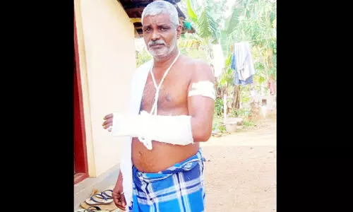കാട്ടുപന്നിയുടെ ആക്രമണത്തിൽ തൊഴിലാളിക്ക് പരിക്ക്