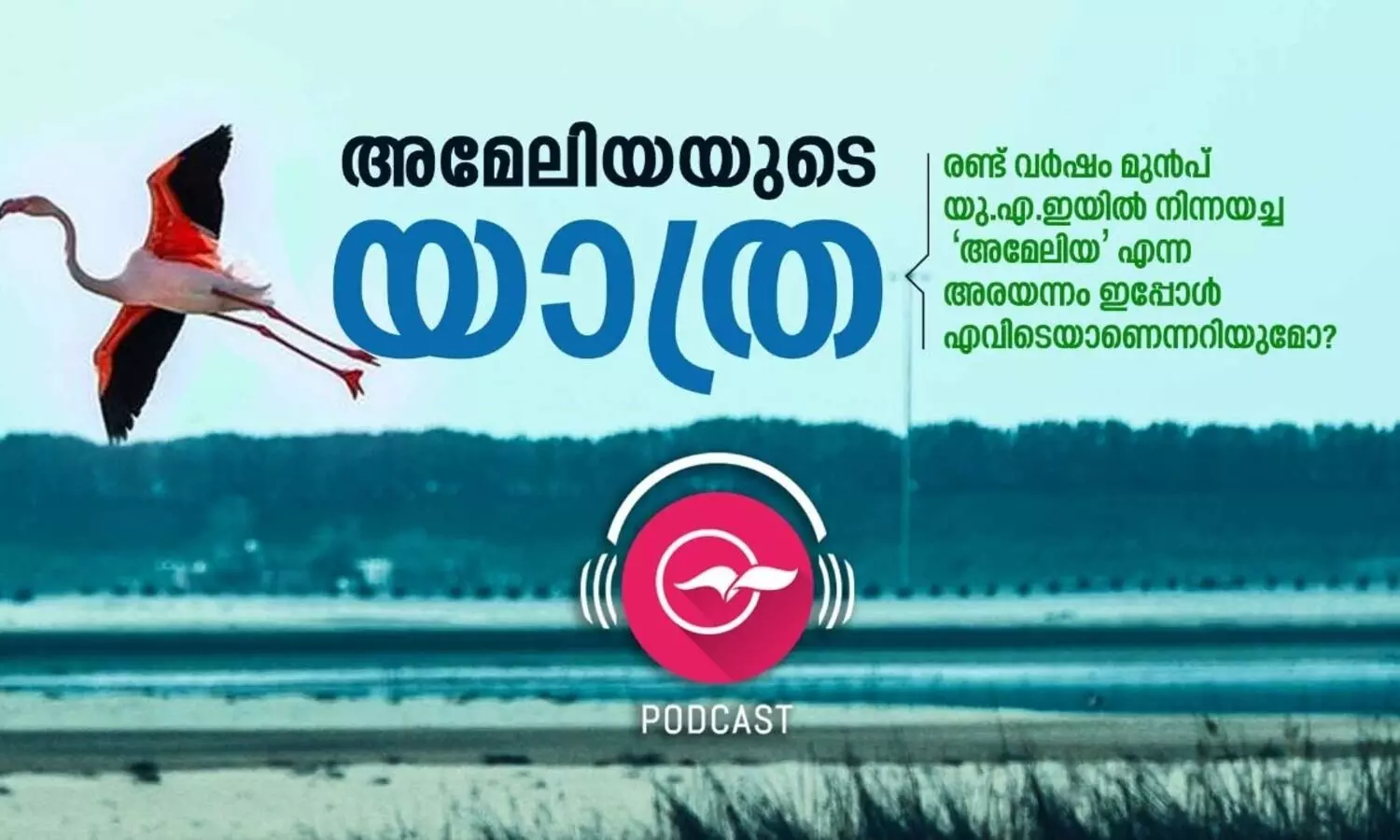 അമേലിയയുടെ യാത്ര