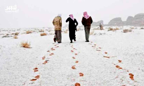 കാലാവസ്ഥ വ്യതിയാനം: വടക്കൻ സൗദിയിൽ മഞ്ഞുവീഴ്ചയും തണുപ്പും ശക്തമാകുമെന്ന് കാലാവസ്ഥ വ്യതിയാനം: വടക്കൻ സൗദിയിൽ മഞ്ഞുവീഴ്ചയും തണുപ്പും ശക്തമാകുമെന്ന്