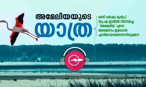 അമേലിയയുടെ യാത്ര