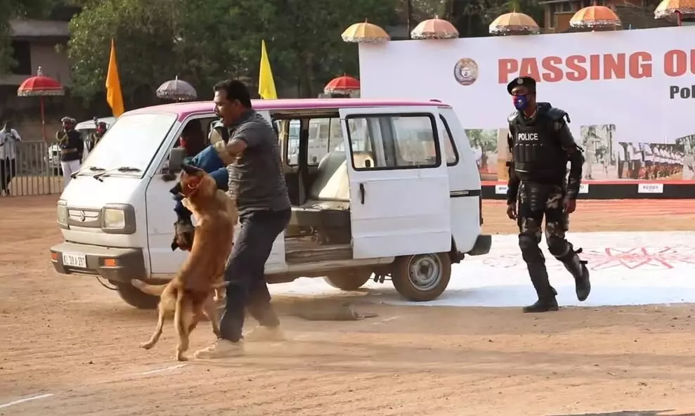 എതിരാളികളെ കടിച്ചുകീറി നായ്​ക്കൾ; ഇത്​ കേരള പൊലീസിന്‍റെ പുതിയ സൈന്യം