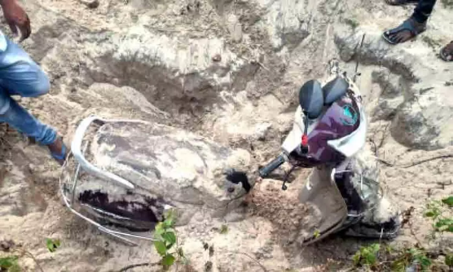 scootter found in backyard