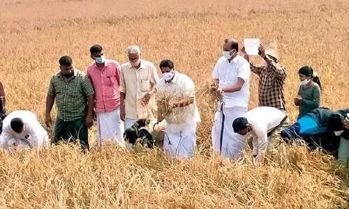 ക​ർ​ഷ​ക​സ​മ​ര​ത്തി​ന്​ ​െഎക്യ​ദാ​ർ​ഢ്യ​വു​മാ​യി കൊ​യ്ത്തു​ത്സ​വം