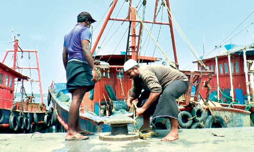 ഡീ​സ​ൽ വി​ല​വ​ർ​ധ​ന, മ​ത്സ്യ​ല​ഭ്യ​ത​ക്കു​റ​വ്: മ​ത്സ്യ​ബ​ന്ധ​ന​മേ​ഖ​ല പ​ട്ടി​ണി​യി​ലേ​ക്ക്