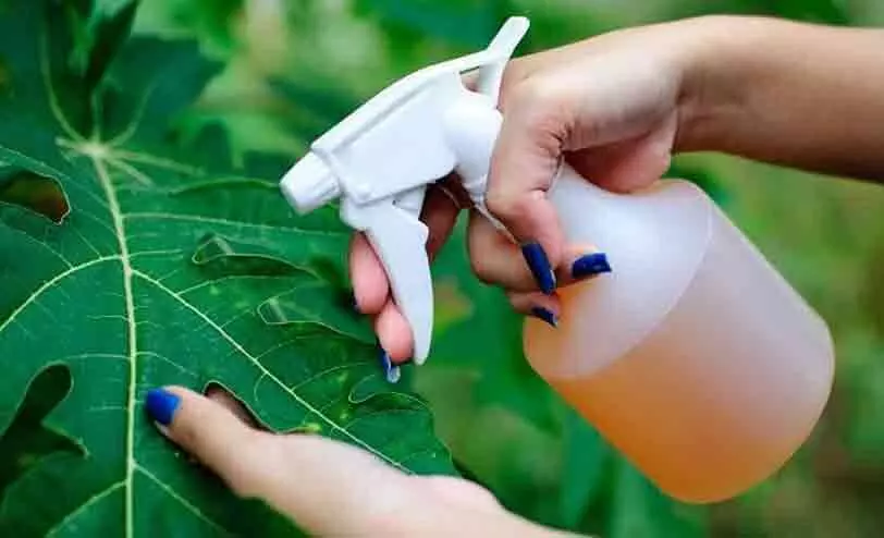 organic pesticide organic pesticide