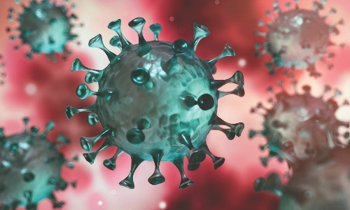 കോവിഡ്​: 976 പുതിയ കേസുകൾ; 920 രോഗമുക്തി