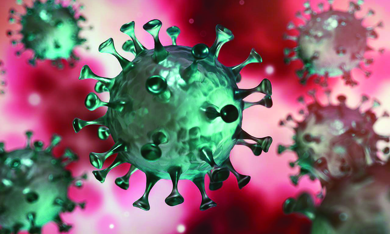 കോവിഡ്​: 976 പുതിയ കേസുകൾ; 920 രോഗമുക്തി