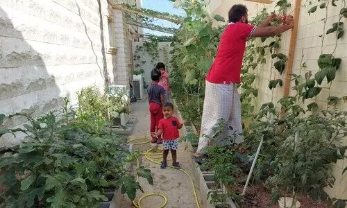 ഇത്തിരി വട്ടത്തിൽ ഒത്തിരി പച്ചക്കറി; ഇത്​ കൃഷിയിലെ പുരുഷ മാതൃക