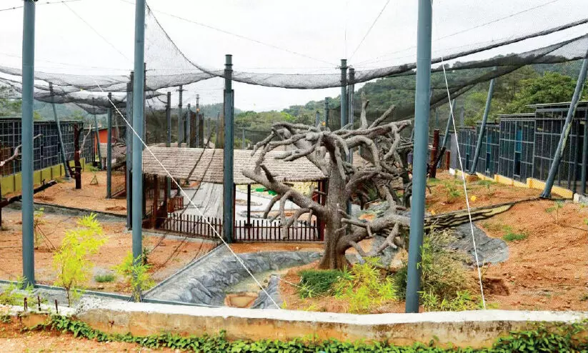 Puthoor Zoological Park