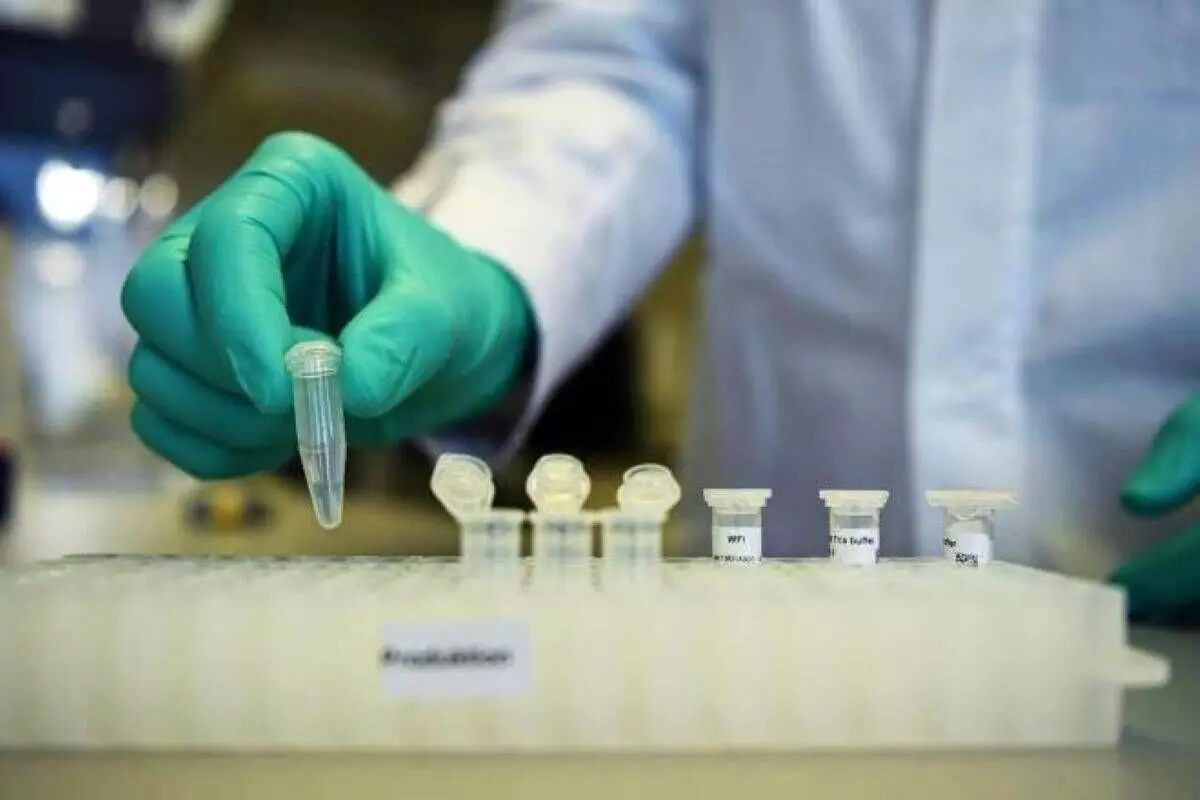 covid test covid test