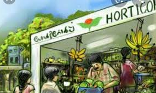 പച്ചക്കറി സംഭരണം കർഷകർക്ക്​ ഹോർട്ടികോർപ്​ നൽകാനുള്ളത്​ 2.85 കോടി