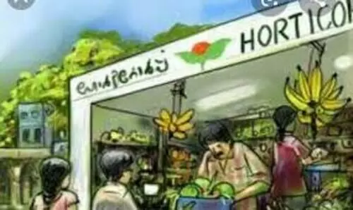 കർഷകരുടെ ന​ട്ടെല്ലൊടിച്ച്​ ഹോർട്ടികോർപ്​; കുടിശ്ശികയാക്കുന്നത്​ ലക്ഷങ്ങൾ