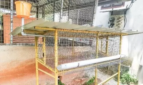 കോഴിക്കൂടിന്​ ഗുണനിലവാരമില്ല; ഉദ്​ഘാടനം മുടങ്ങി