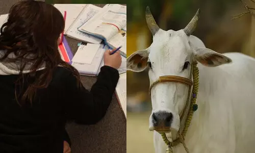 ചാണകം റേഡിയേഷൻ തടയും; പശു ശാസ്​ത്ര പരീക്ഷക്കായി വിദ്യാർഥികൾ അവസാനവട്ട ഒരുക്കത്തിൽ