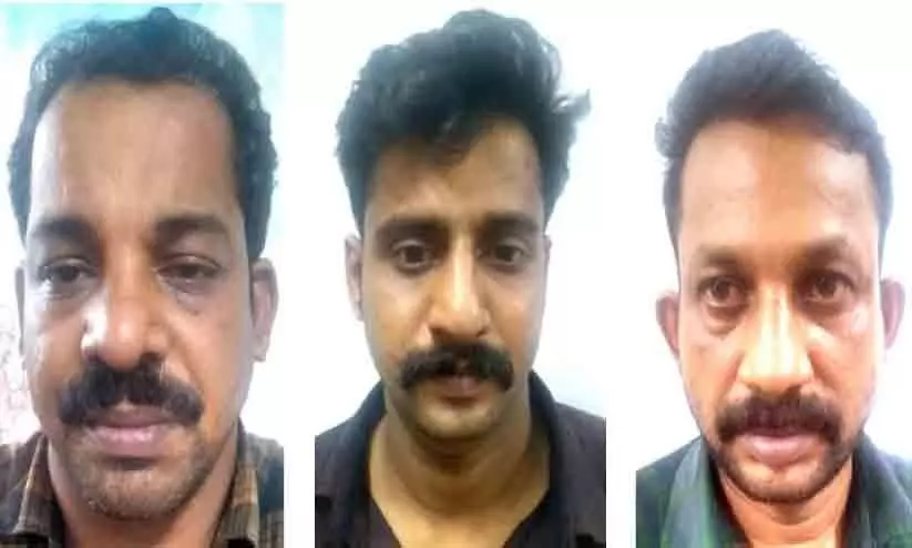 Three-member gang arrested