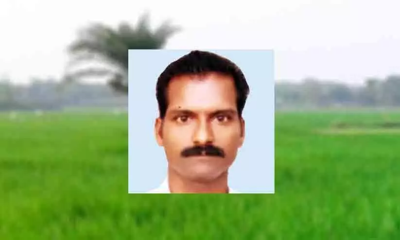 youth died In paddy
