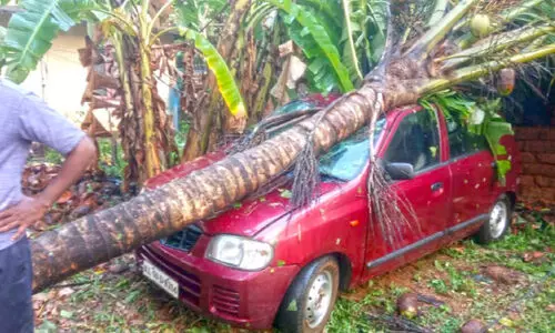 ചുഴലിക്കാറ്റിൽ കാറിന്​ മുകളിൽ തെങ്ങ്​ വീണു; നാ​ല്​ വീ​ടു​ക​ൾ ത​ക​ർ​ന്നു