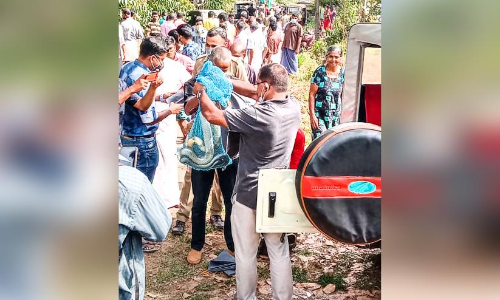 മാങ്കുളത്ത്​ രാജവെമ്പാലയെ പിടികൂടി