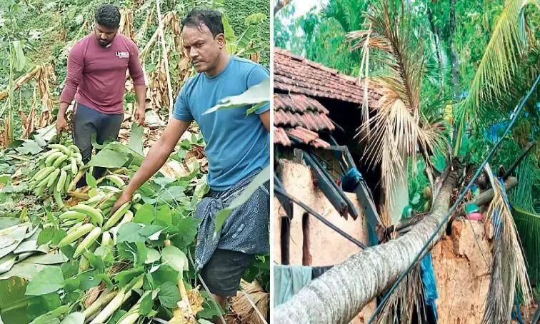 വേനൽ മഴ, കാറ്റ്, നാശം വേനൽ മഴ, കാറ്റ്, നാശം