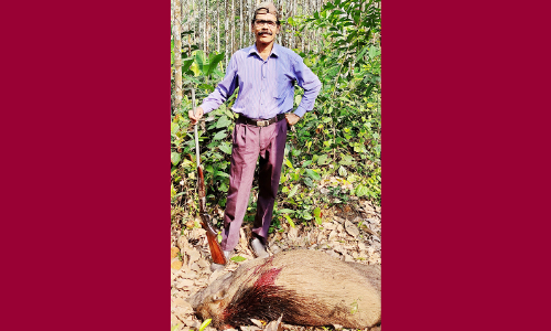 ക​ര്‍ഷ​ക​രു​ടെ കാ​വ​ലാ​യി ബാ​ലേ​ട്ട​ന്‍; മൂ​ന്നു മാ​സ​ത്തി​നു​ള്ളി​ല്‍ കൊ​ന്ന​ത്​ 25 കാ​ട്ടു​പ​ന്നി​ക​ളെ