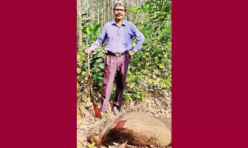 ക​ര്‍ഷ​ക​രു​ടെ കാ​വ​ലാ​യി ബാ​ലേ​ട്ട​ന്‍; മൂ​ന്നു മാ​സ​ത്തി​നു​ള്ളി​ല്‍ കൊ​ന്ന​ത്​ 25 കാ​ട്ടു​പ​ന്നി​ക​ളെ