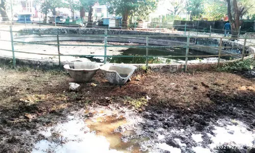 പ​ക്ഷി​മൃ​ഗാ​ദി​ക​ൾ​ക്ക് ദാ​ഹ​ജ​ല​ത്തി​ന്​ സ്ഥാ​പി​ച്ച ജ​ല​സം​ഭ​ര​ണി​ക​ൾ ത​ക​ർ​ത്തു