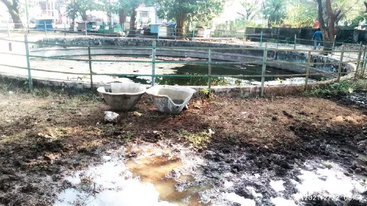 പക്ഷിമൃഗാദികൾക്ക് ദാഹജലത്തിന് സ്ഥാപിച്ച ജലസംഭരണികൾ തകർത്തു പക്ഷിമൃഗാദികൾക്ക് ദാഹജലത്തിന് സ്ഥാപിച്ച ജലസംഭരണികൾ തകർത്തു