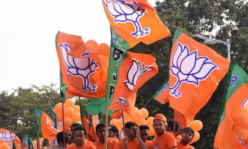 BJP Celebrating Election Victory