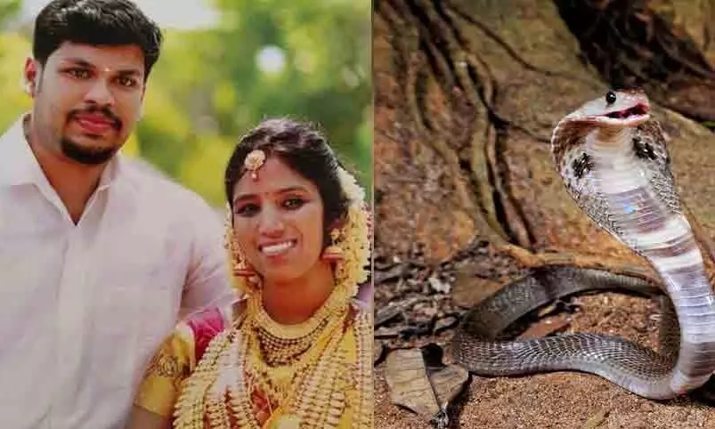 ഉ​ത്ര​വ​ധം : ഡ​മ്മി പ​രീ​ക്ഷ​ണ​ത്തി​െൻറ ദൃ​ശ്യ​ങ്ങ​ൾ പു​റ​ത്ത്​