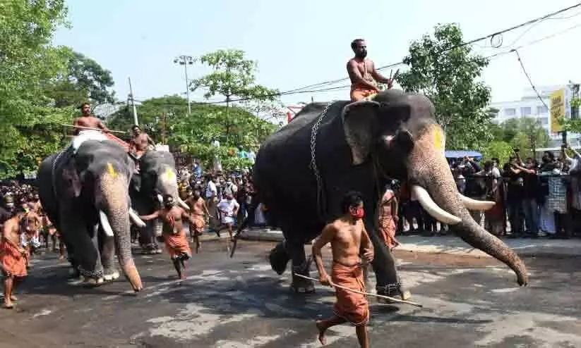 Elephant Race: Gopikrishnan wins Elephant Race: Gopikrishnan wins