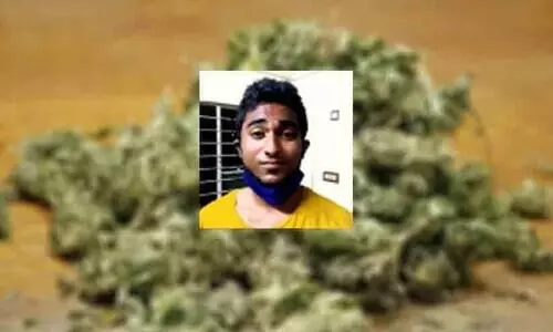 youth arrested with cannabis