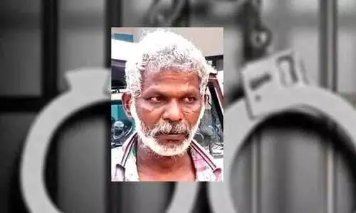 theft, oldman arrested