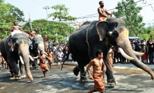 Guruvayur Elephant Race