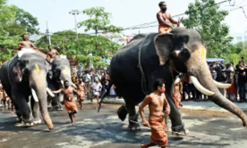 Guruvayur Elephant Race