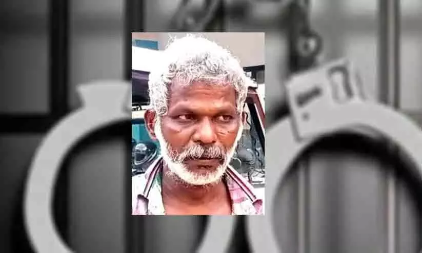 theft, oldman arrested