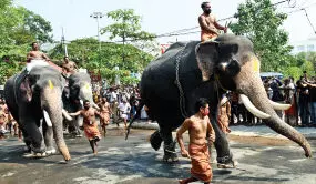 Guruvayur Elephant Race Guruvayur Elephant Race