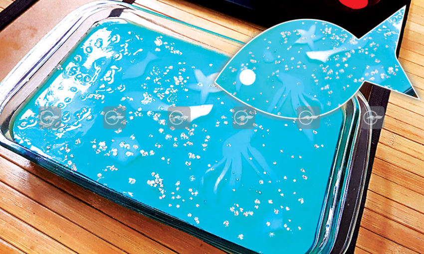 Aquarium Pudding Aquarium Pudding