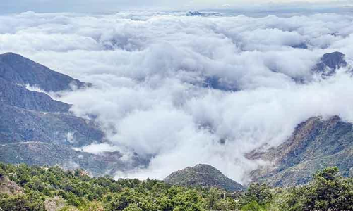 വിനോദ സഞ്ചാര വികസനത്തിന്​ വൻ പദ്ധതി:   അ​സീ​ർ പ്ര​വി​ശ്യ​യി​ൽ 11 ശ​ത​കോ​ടി റി​യാ​ലി​െൻറ   സൗ​ദ വി​ക​സ​ന ക​മ്പ​നി