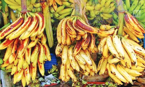 വിദേശവിപണി കൈയടക്കാന്‍ കേരളത്തി​െൻറ സ്വന്തം നേന്ത്രപ്പഴവും