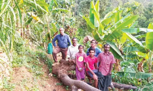 പോളിയോ തളർത്തിയില്ല; അനിലി​െൻറ കരുത്ത്​​ മണ്ണിൽ തളിർക്കുന്നു