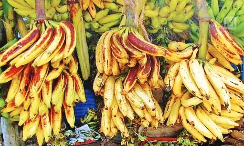 വിദേശവിപണി കൈയടക്കാന്‍ കേരളത്തി​െൻറ സ്വന്തം നേന്ത്രപ്പഴവും