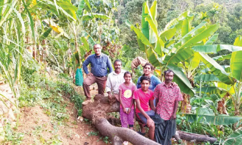 പോളിയോ തളർത്തിയില്ല; അനിലിെൻറ കരുത്ത് മണ്ണിൽ തളിർക്കുന്നു പോളിയോ തളർത്തിയില്ല; അനിലിെൻറ കരുത്ത് മണ്ണിൽ തളിർക്കുന്നു