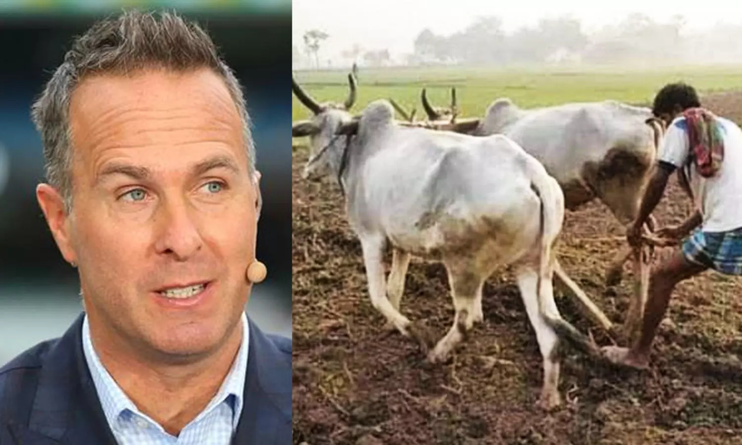 Michael Vaughan
